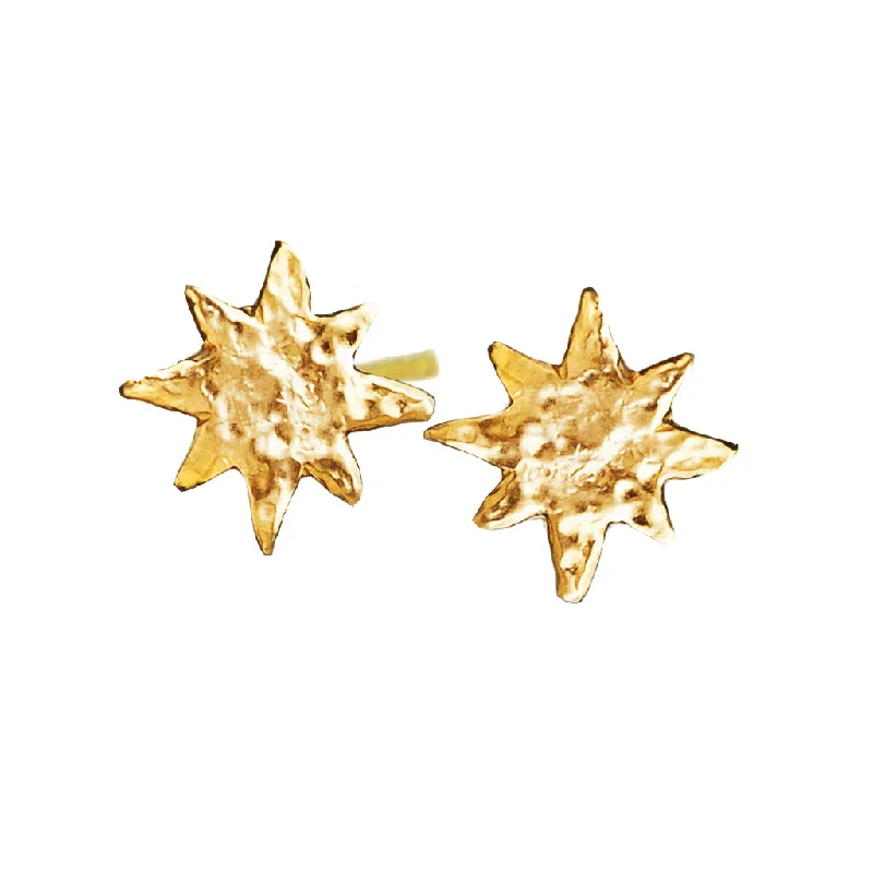 Hoop earrings with snake print designs for an edgy, wild appearance-Shining Star Studs